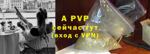 гидра Вяземский