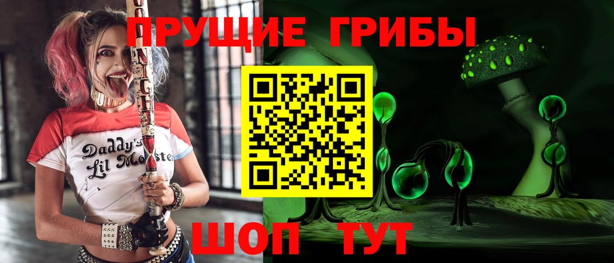 Галлюциногенные грибы Psilocybe Воркута