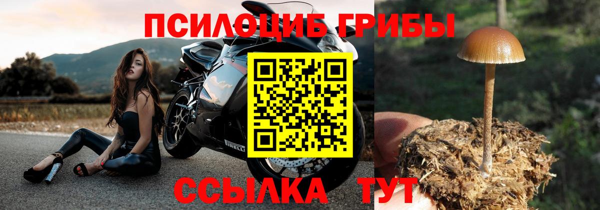 Псилоцибиновые грибы прущие грибы  Вход с VPN  Воркута 